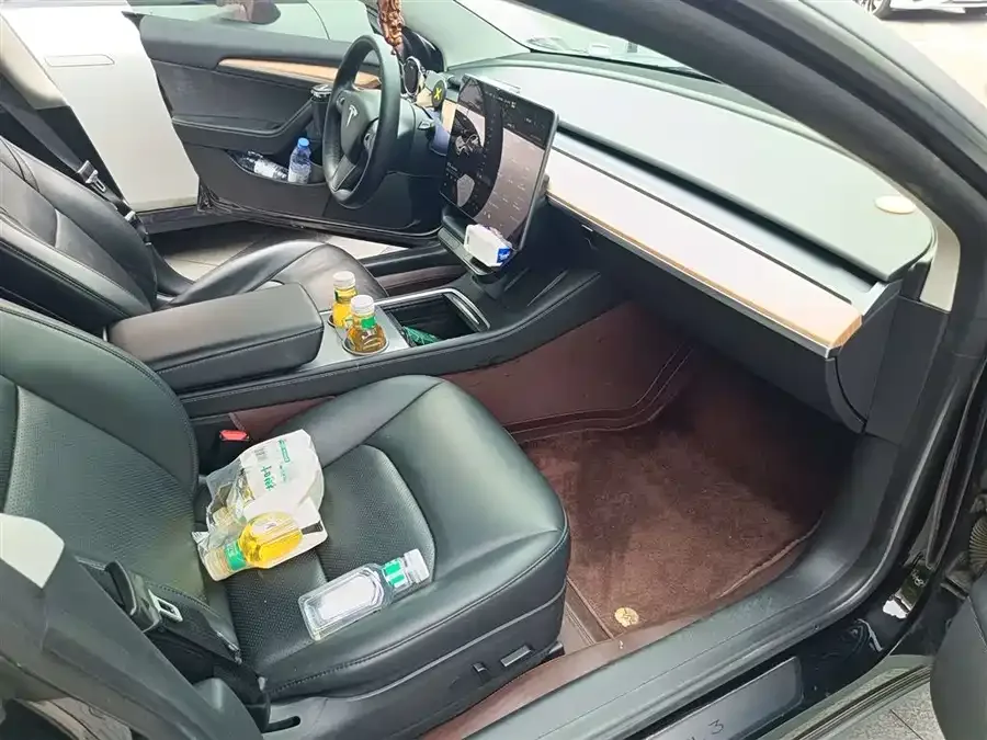 Tesla Model 3 Model 3 2022 rear-wheel drive version 2022 — миниатюра 2