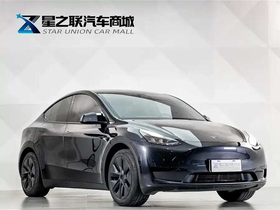 Tesla Model Y Model Y 2024 rear-wheel drive version 2024 — миниатюра 2