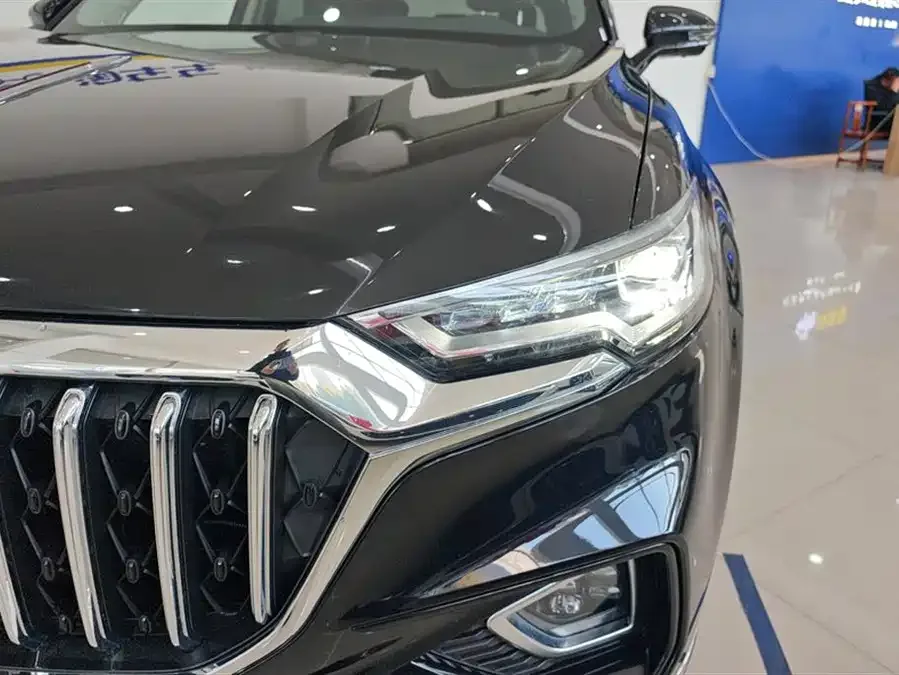 Hongqi HS5 Hongqi HS5 2022 facelift 2.0T Zhilian Qixiang Edition 2022 — миниатюра 5