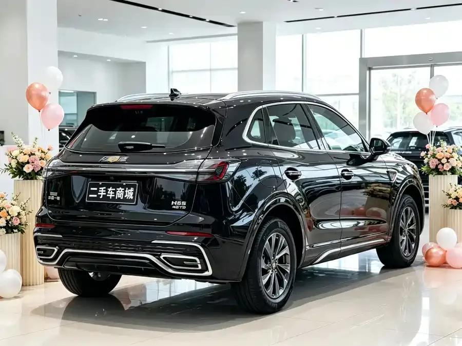 Hongqi HS5 Hongqi HS5 2023 2.0T Flagship Pro Edition 2024 — миниатюра 5