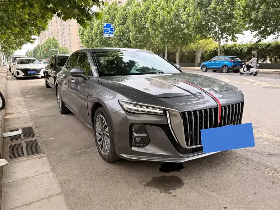 Hongqi H5 Hongqi H5 2023 2.0T Automatic Intelligent Connection Flagship Chang Edition 2022 — миниатюра 3