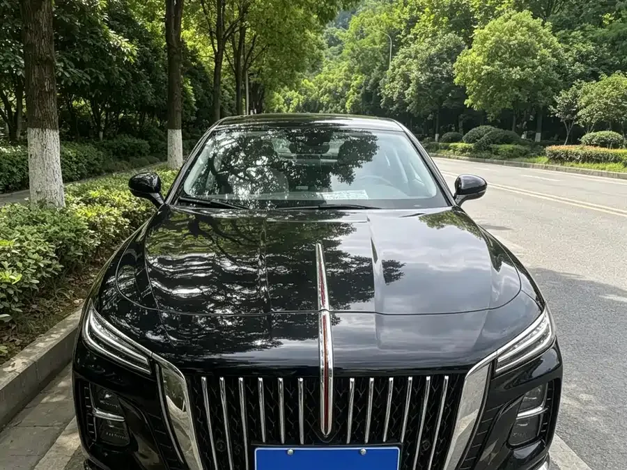 Hongqi H5 2024