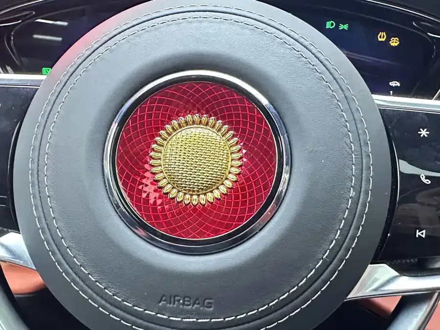 Hongqi Golden Sunflower Country Elegance Hongqi Golden Sunflower National Elegance 2024 4.0T V8 Edition 2025 — миниатюра 3