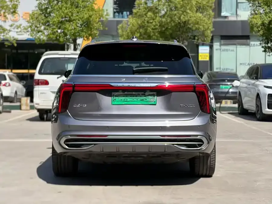Hongqi E-HS9 Hongqi E-HS9 2021 460km Flagship Edition Six Seaters 2023 — миниатюра 5
