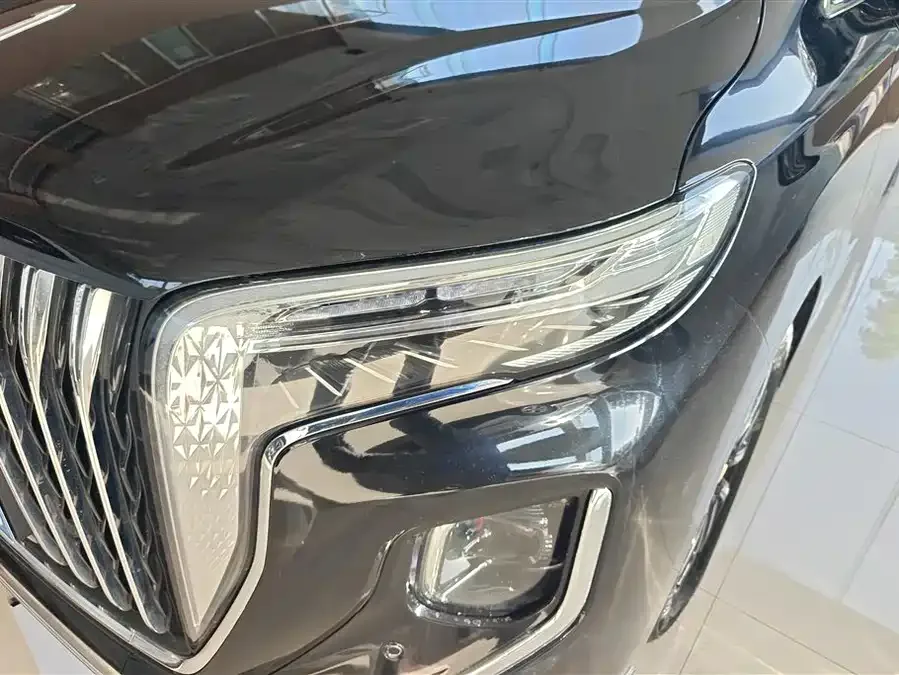 Hongqi HQ9 Hongqi HQ9 2023 2.0T Intelligent Connection Flagship Edition 2023 — миниатюра 2