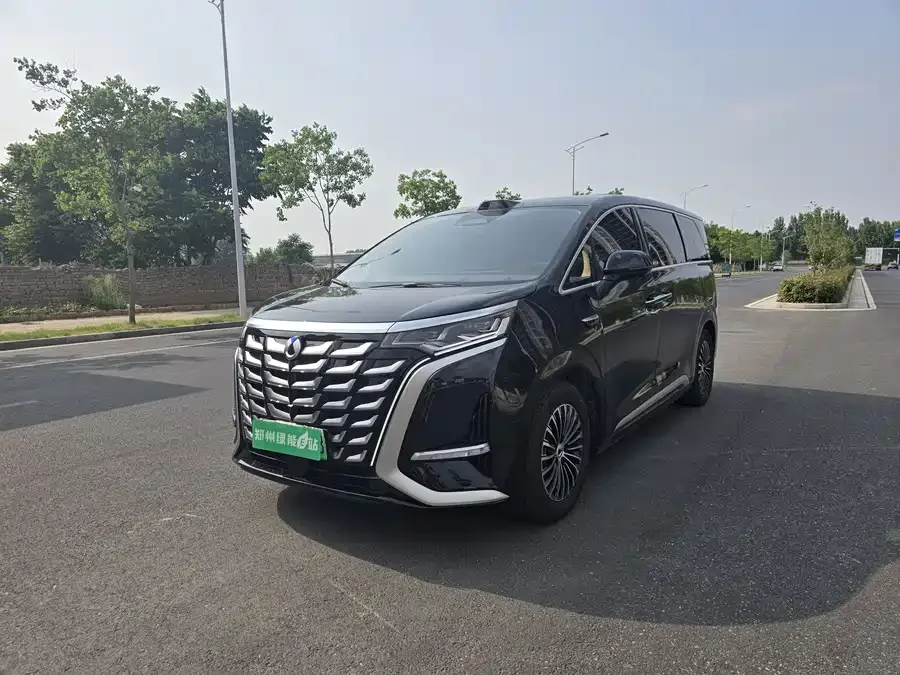BYD D9 2025