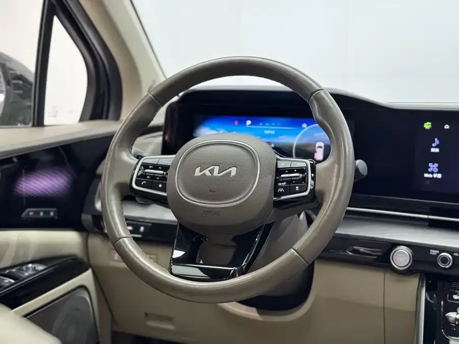 Kia Carnival Carnival 2021 2.0T Flagship Edition 2022 — миниатюра 5