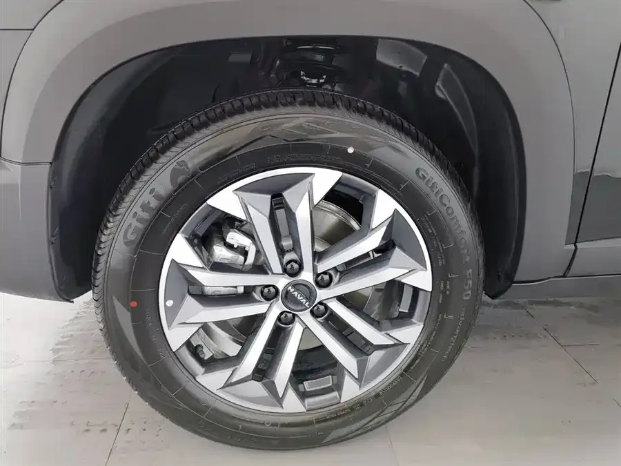 Haval Big dog Haval Big Dog 2026 1.5T DCT Border Collie Edition 2025 — миниатюра 5