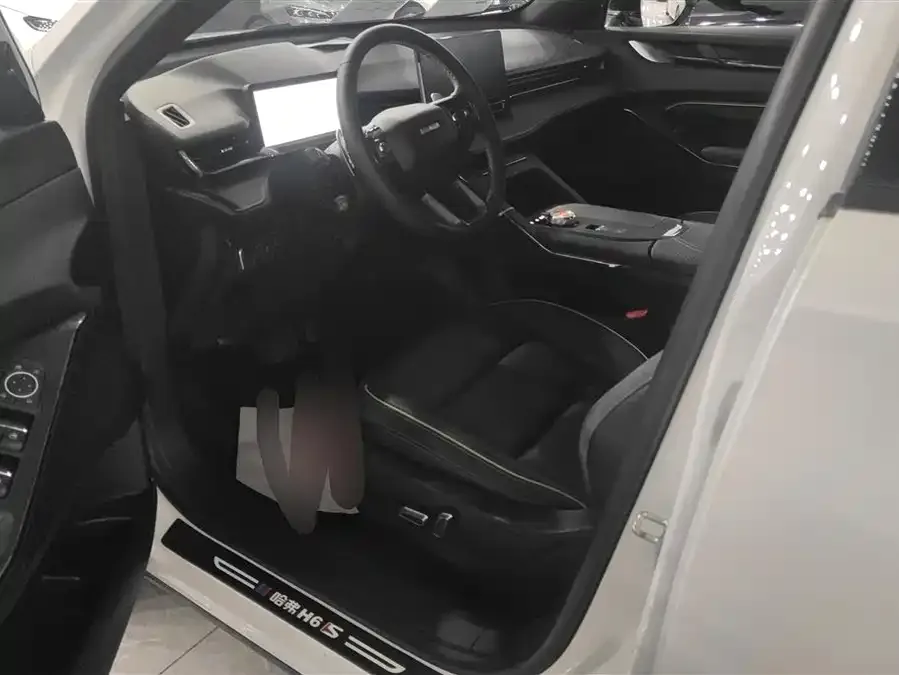 Haval H6S Haval H6S 2022 2.0T 2WD Joy Run Edition 2023 — миниатюра 3