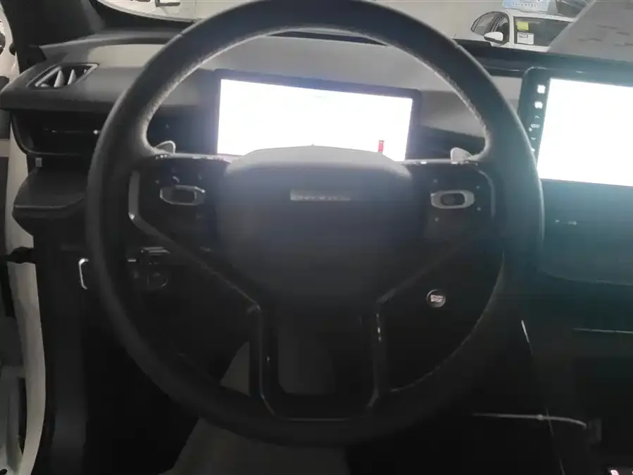 Haval H6S Haval H6S 2022 2.0T 2WD Joy Run Edition 2023 — миниатюра 4