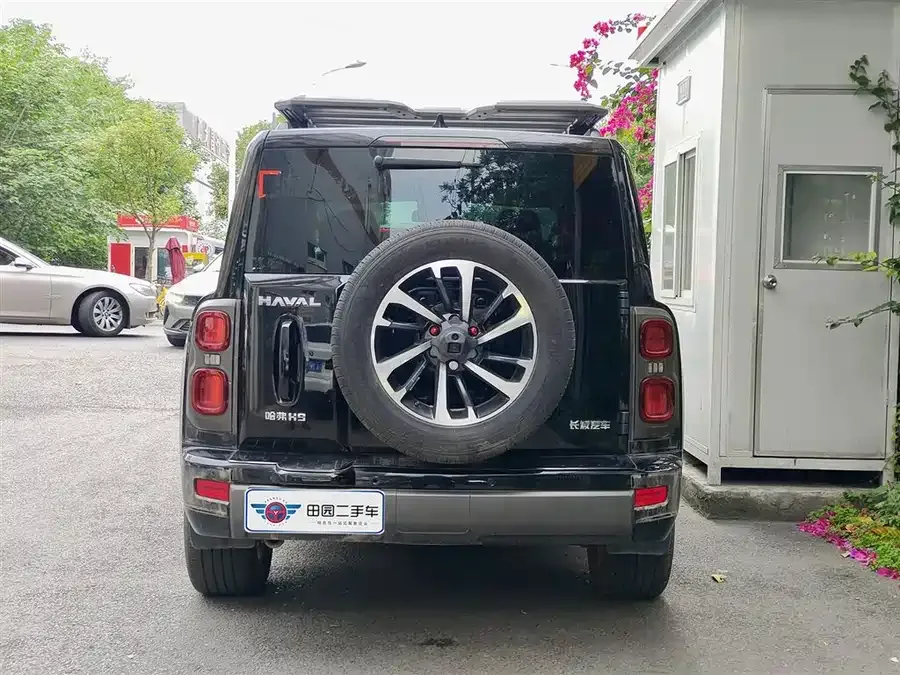 Haval H9 Haval H9 2024 2.0T Gasoline 4WD Extreme Edition 2025 — миниатюра 2