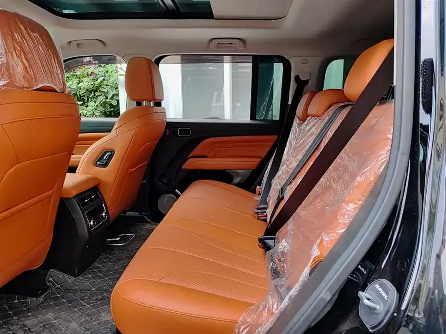 Haval H9 Haval H9 2024 2.0T Gasoline 4WD Extreme Edition 2025 — миниатюра 5