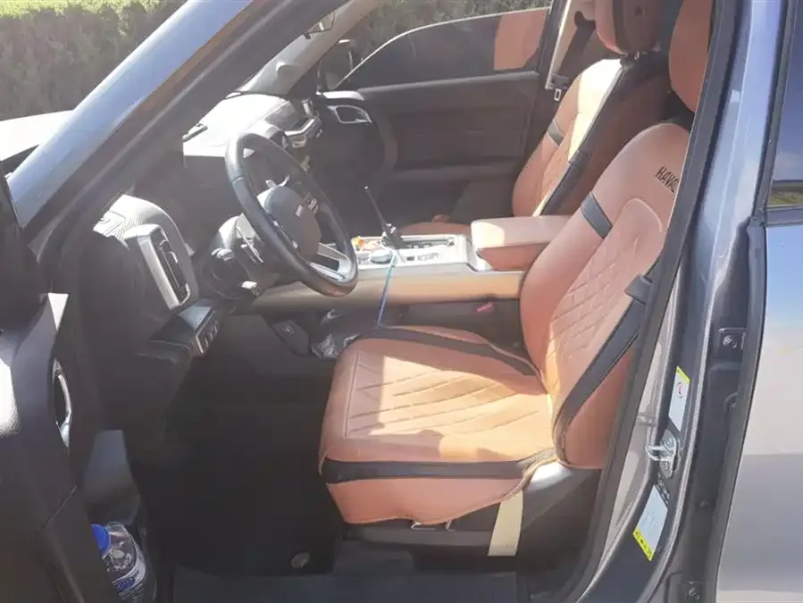 Haval Big dog Haval Big Dog 2021 1.5T DCT 2WD Labrador Edition 2022 — миниатюра 3