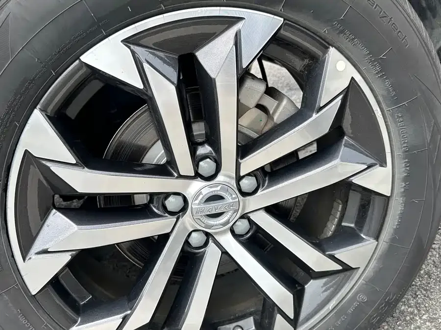 Haval Big dog Haval Big Dog 2022 1.5T DCT 2WD Horse Dog Hunting Edition 2023 — миниатюра 5