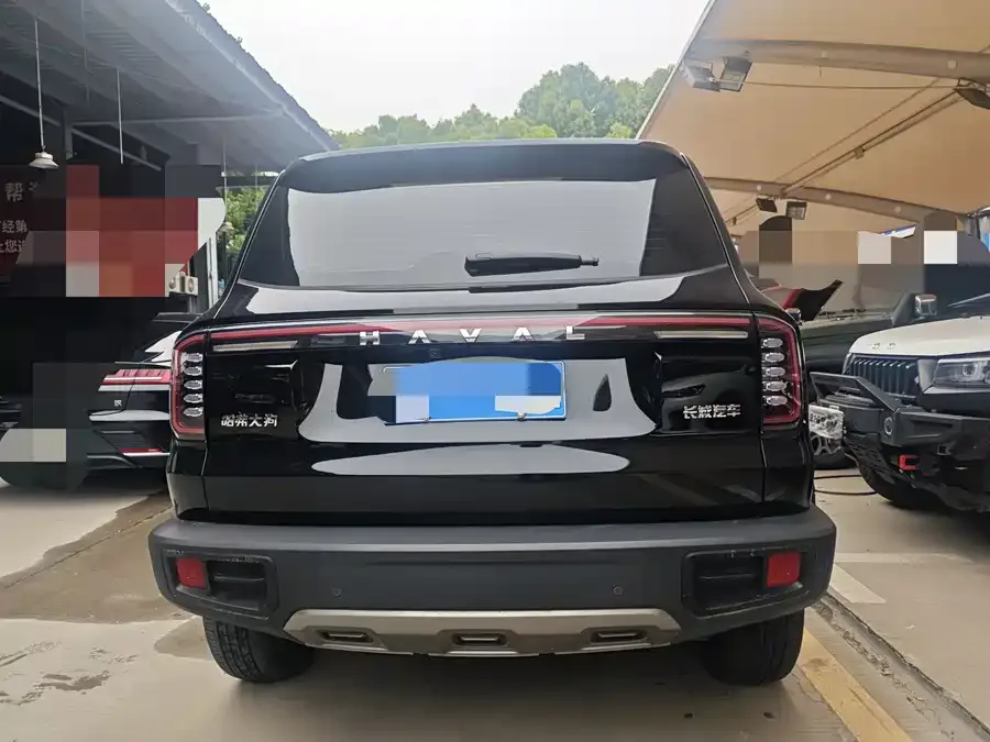 Haval Big dog Haval Big Dog 2024 1.5T DCT Border Collie Edition 2024 — миниатюра 5