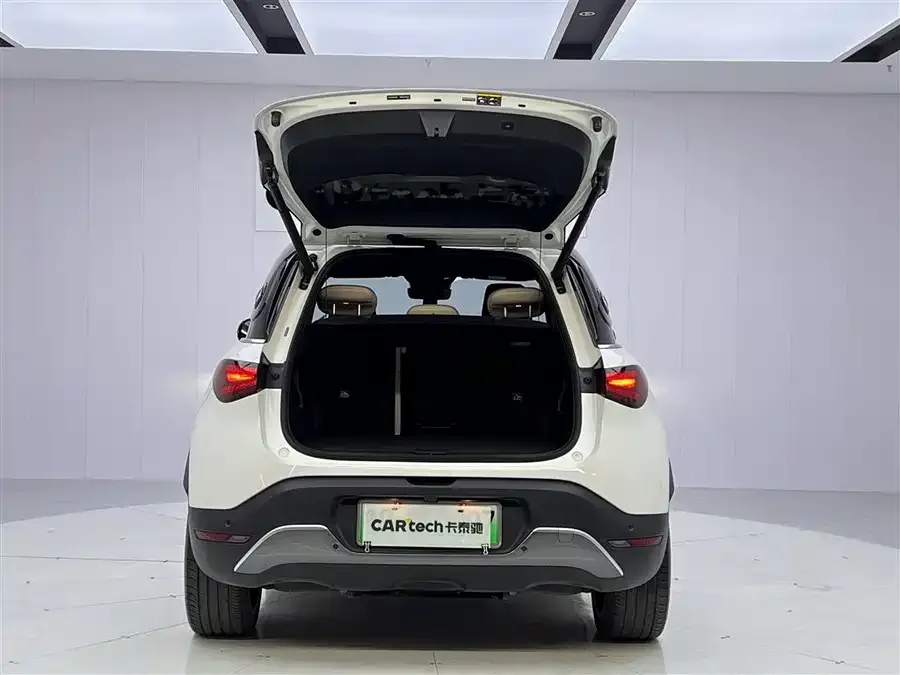 Smart Elf #1 Smart Elf #1 2024 Premium Edition 2023 — миниатюра 4