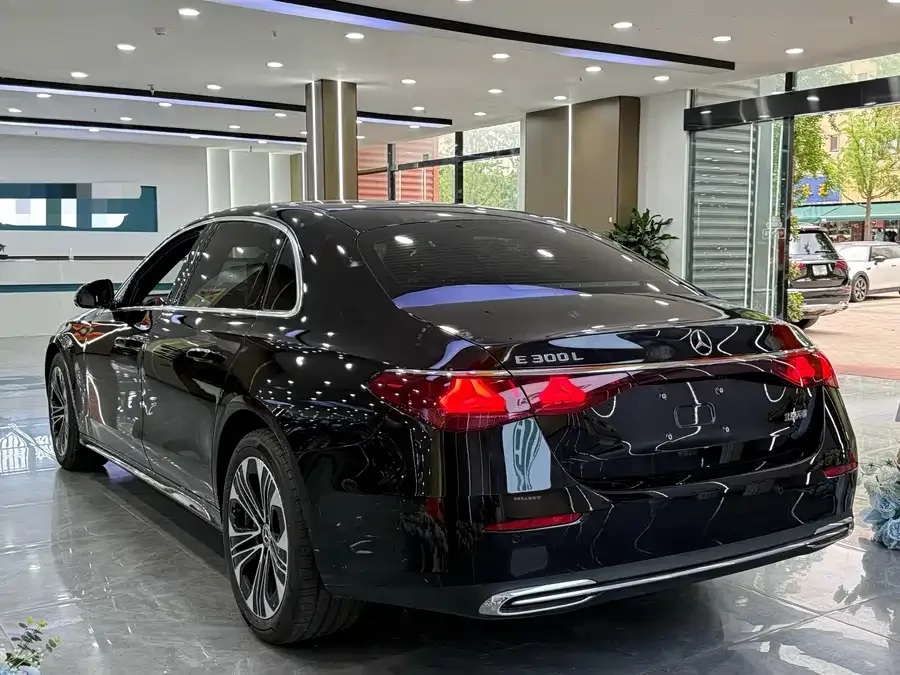 Mercedes-Benz E-Class Mercedes-Benz E-Class 2025 E 300 L Luxury Edition 2026 — миниатюра 5