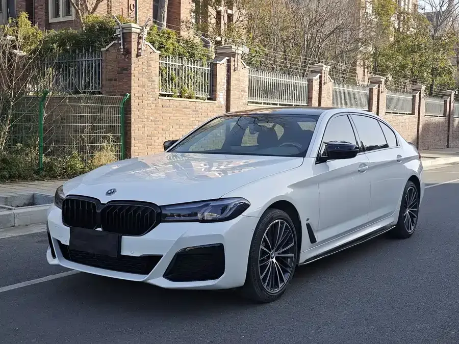 BMW 5 Series BMW 5 Series 2023 facelift 530Li leading luxury package 2023 — фото 1, купить с доставкой в Москву