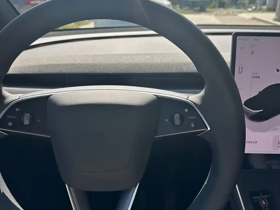 Tesla Model Y Model Y 2026 Rear-Wheel Drive 2026 — миниатюра 3