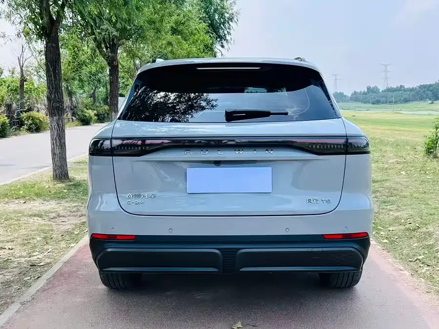 Chery Fengyun T9 Fengyun T9 2024 120 Long-range flagship 7-seater ternary lithium 2024 — миниатюра 3