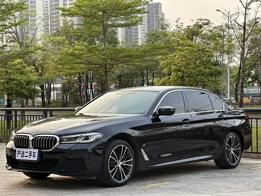 BMW 5 Series BMW 5 Series 2023 530Li Leading M Sport Package 2023 — фото 1, купить с доставкой в Москву
