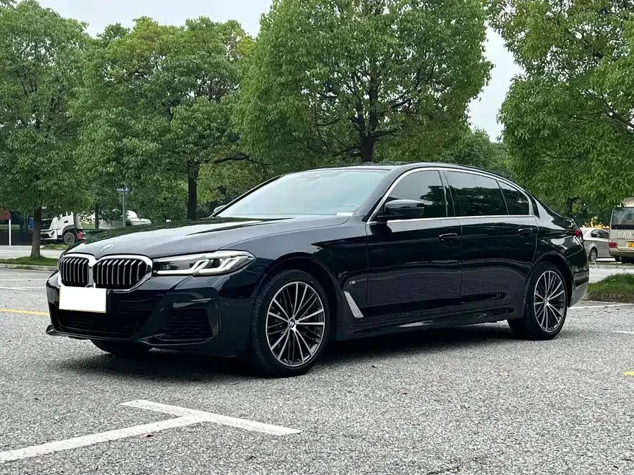 BMW 5 Series BMW 5 Series 2023 530Li Leading M Sport Package 2023 — фото 1, купить с доставкой в Москву