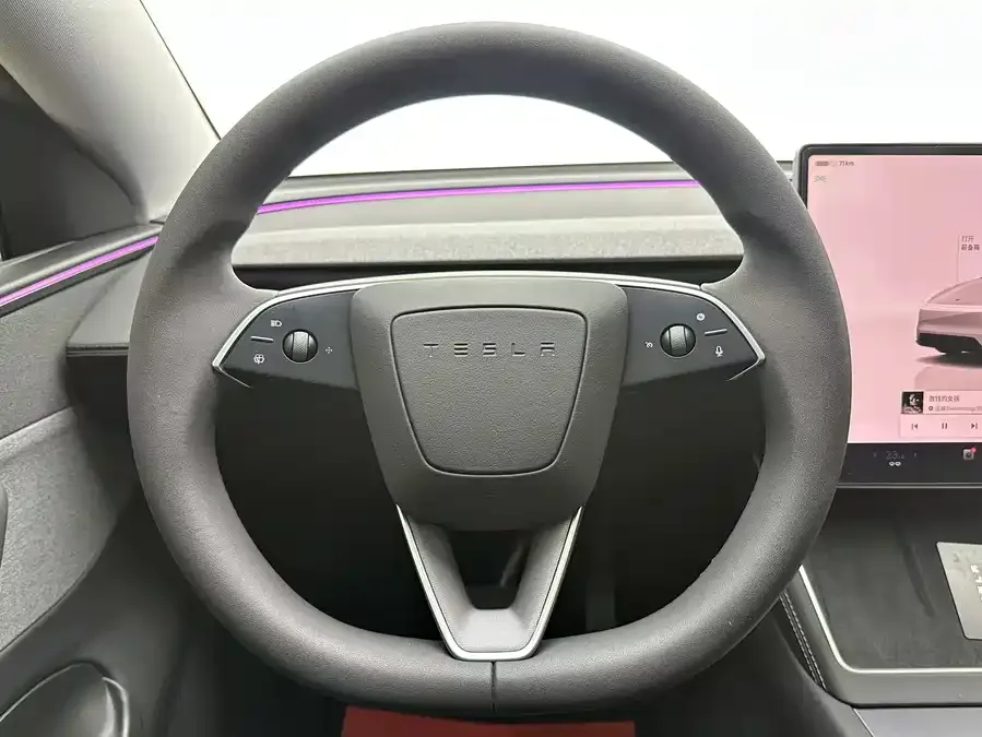 Tesla Model Y Model Y 2025 rear-wheel drive version 2025 — миниатюра 3