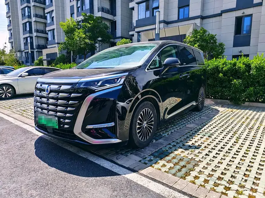 BYD D9 2024