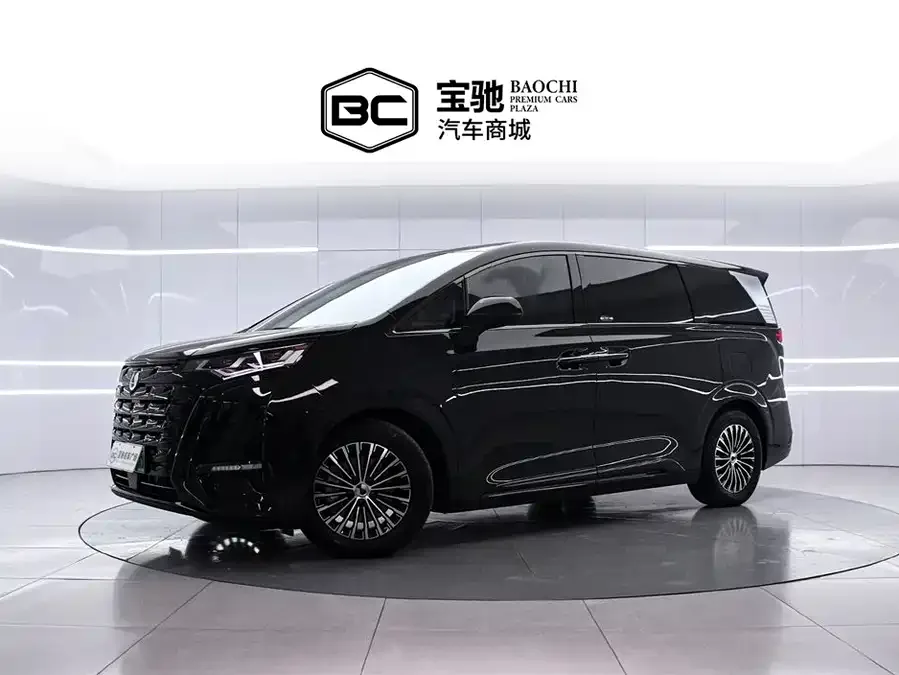 BYD D9 2025