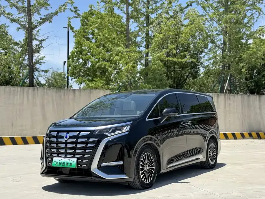 BYD D9 2024
