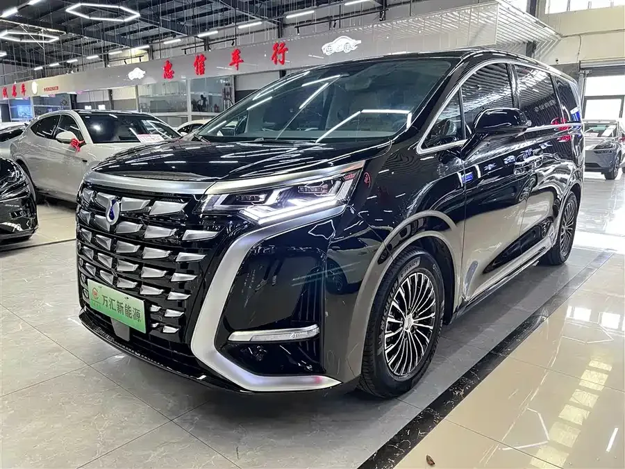 BYD D9 2024