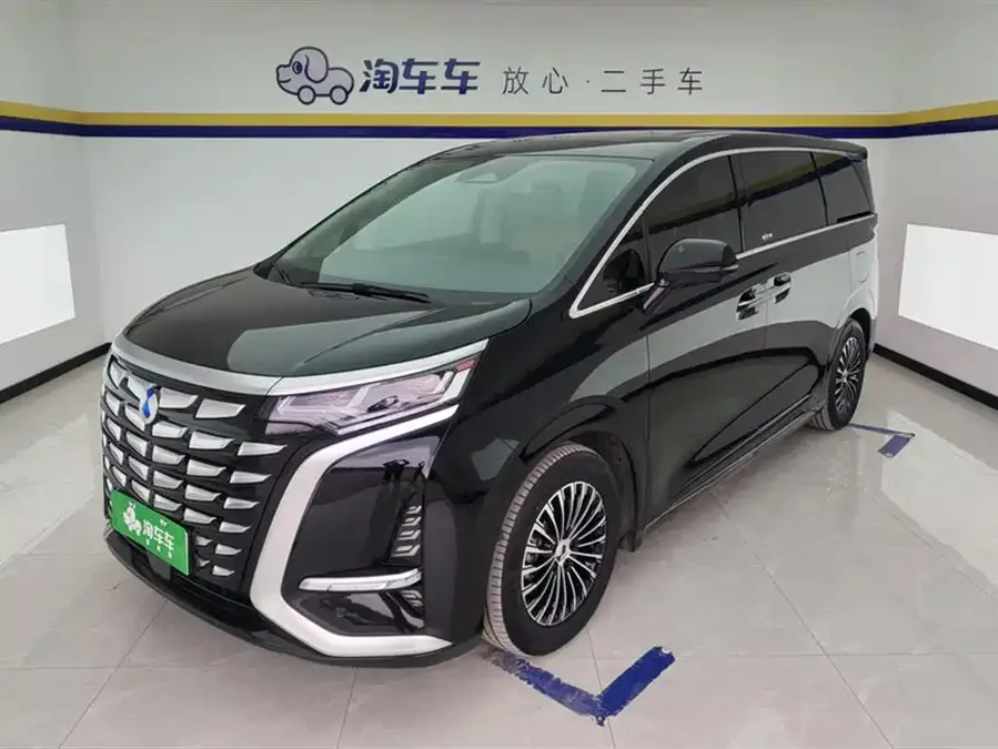 BYD D9 2024