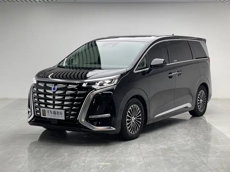 BYD D9 2024