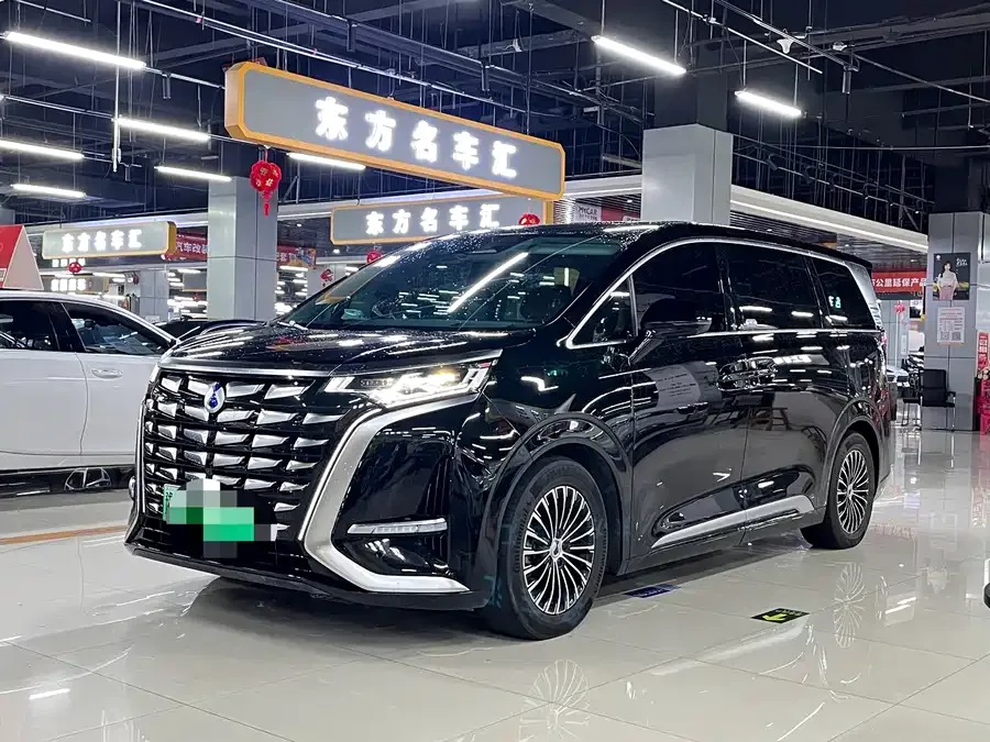 BYD D9 2024