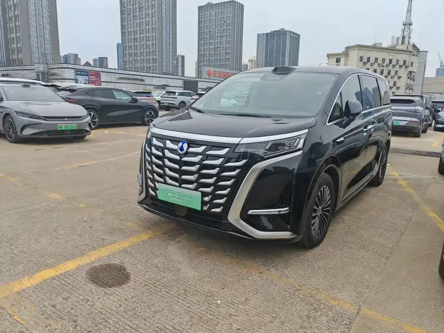 BYD D9 2025