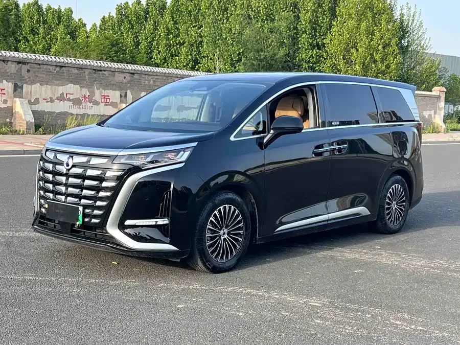 BYD D9 2025