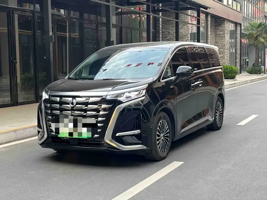 BYD D9 2025