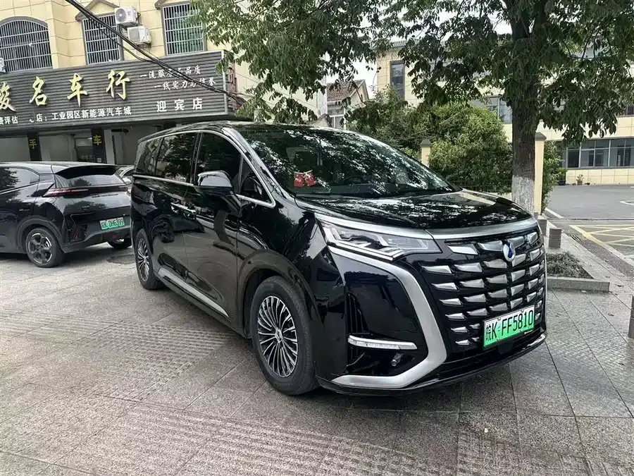 BYD D9 2024