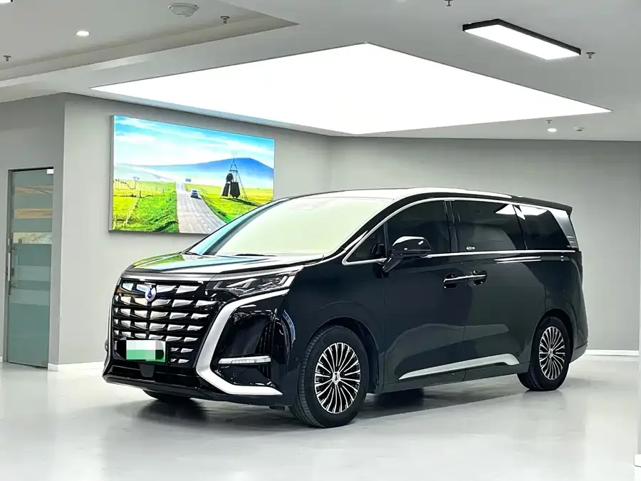 BYD D9 2023