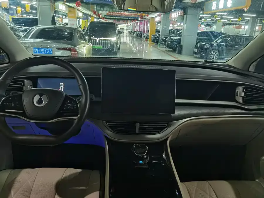 BYD D9 DENZA D9 2024 DM-i 1050 Premium Edition 2024 — миниатюра 5