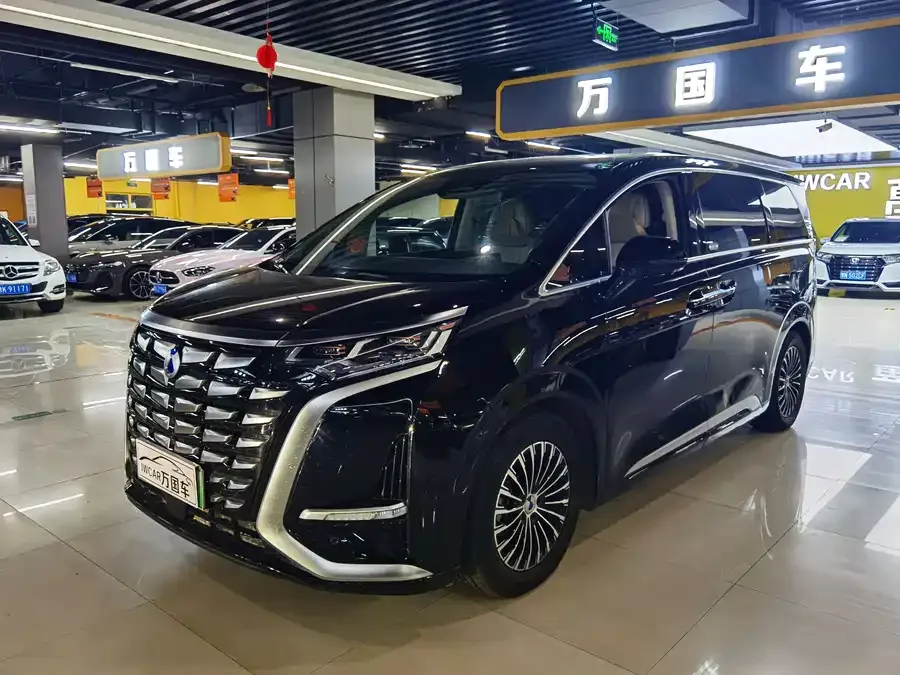 BYD D9 2024