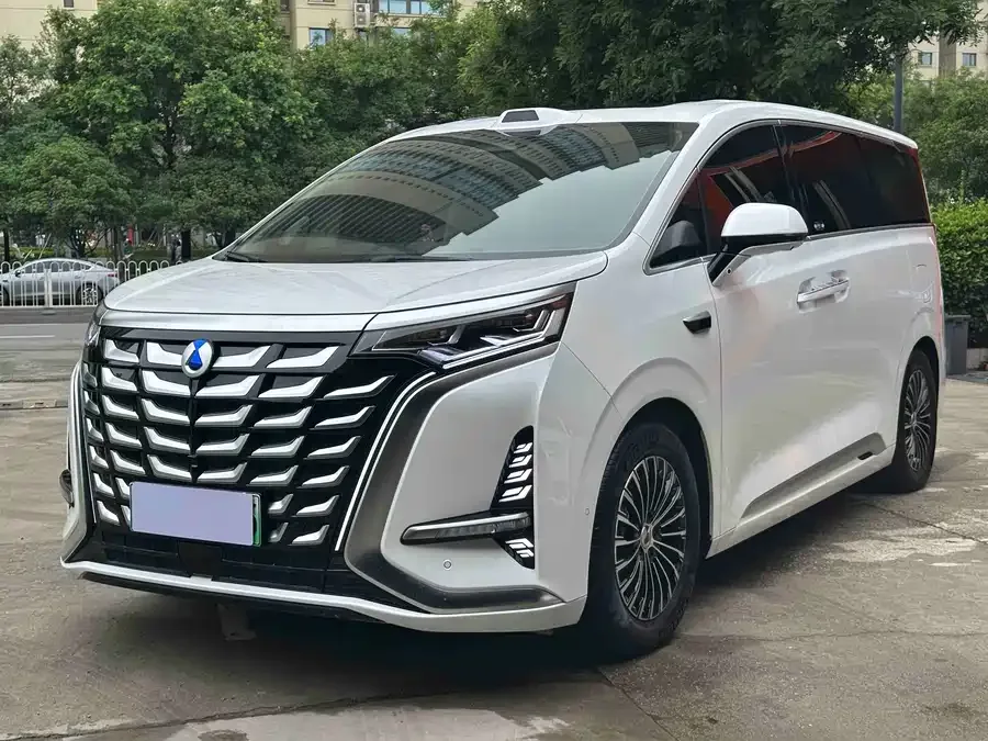 BYD D9 2025