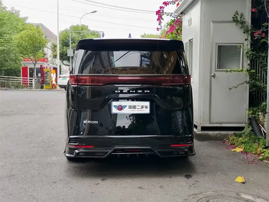 BYD D9 DENZA D9 2022 DM-i 970 4WD Premium Edition 2023 — миниатюра 2
