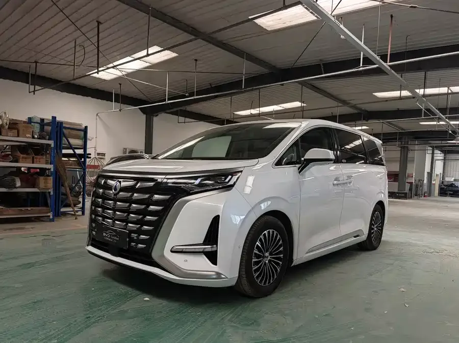 BYD D9 2024