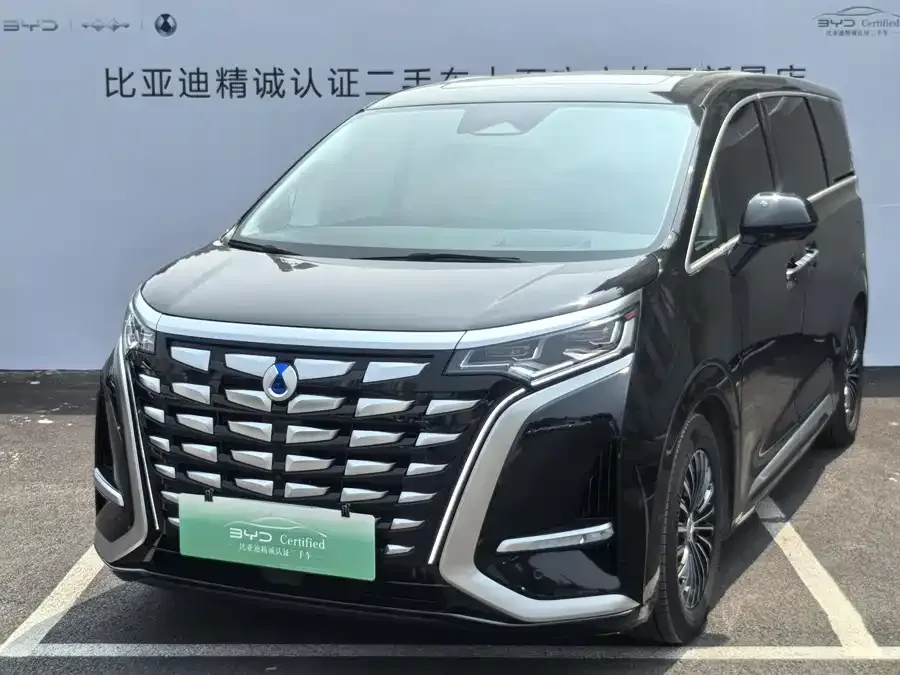 BYD D9 2024