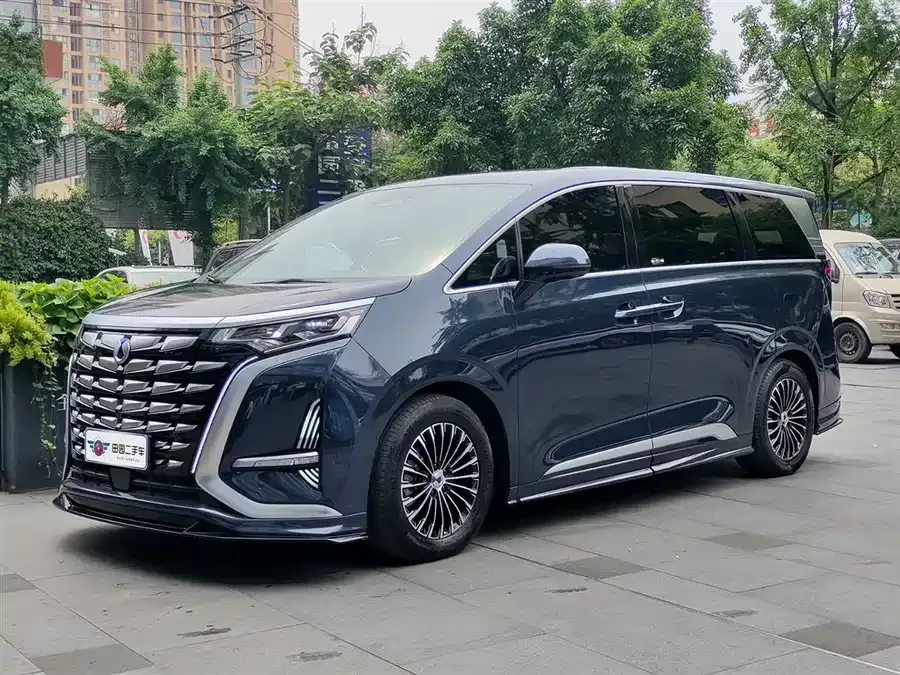 BYD D9 2022