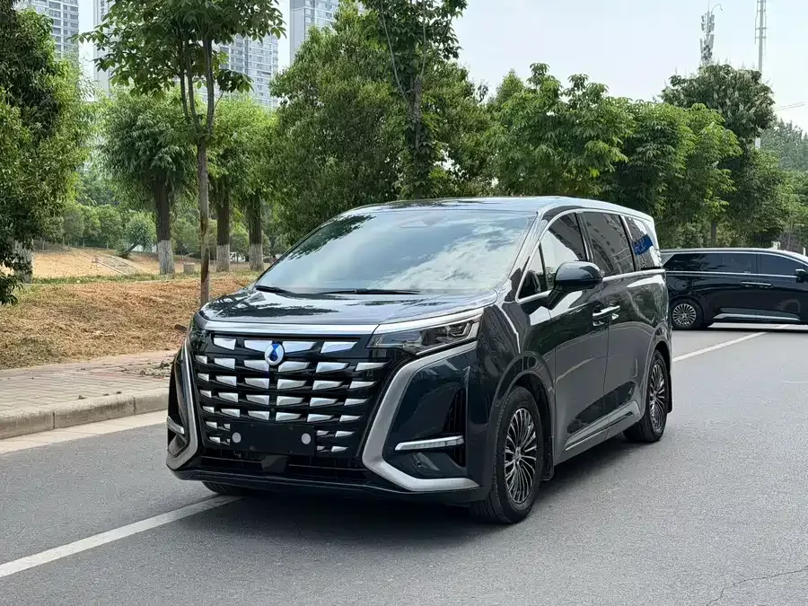 BYD D9 2023