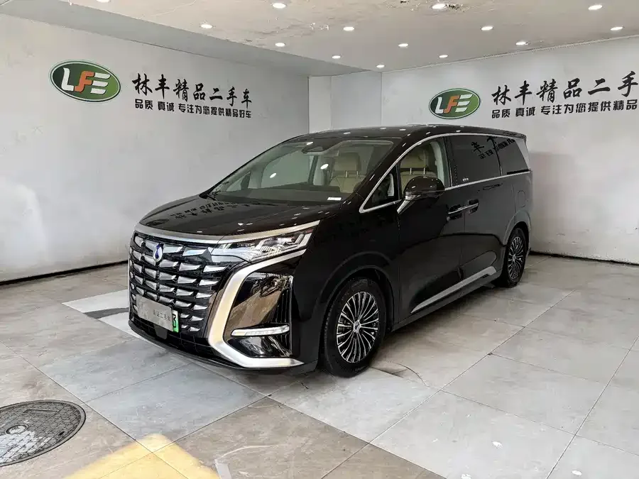 BYD D9 2025