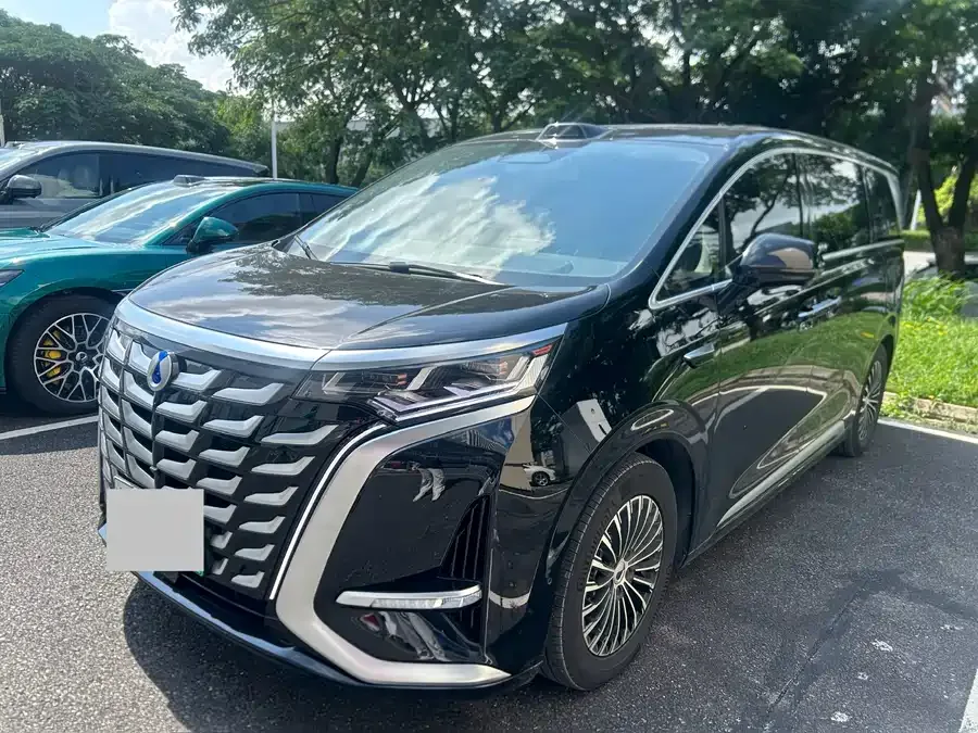 BYD D9 2025