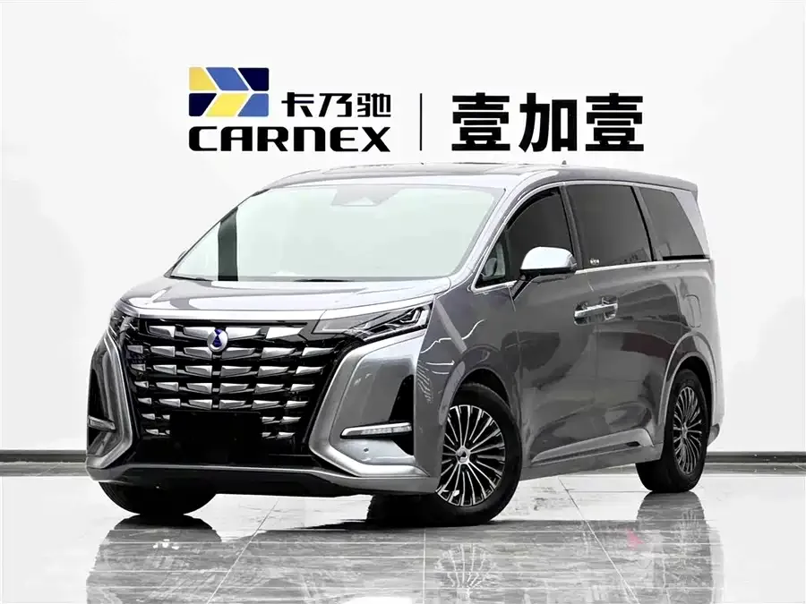 BYD D9 2024
